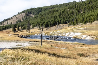 Firehole River Yellowstone NP 2024